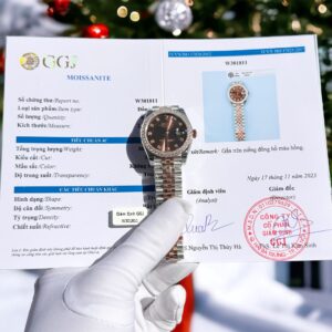 Đồng Hồ Rolex Nữ DateJust Đính Moissanite Mặt Chocolate 31mm (1)