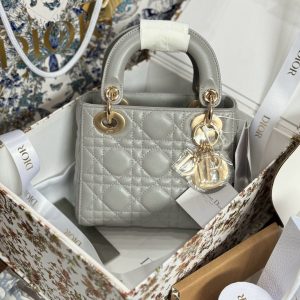 Túi Xách Dior Lady Like Auth Nữ Màu Xám Khoá Vàng 17cm (2)