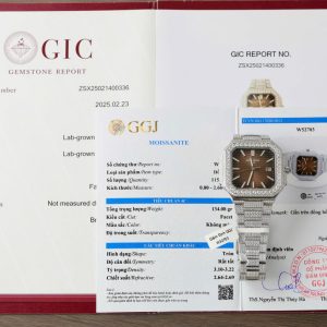 Đồng Hồ Patek Philippe Cubitus 5821 Mặt Nâu Đính Full Kim Cương Moissanite Hong Kong 45mm (7)