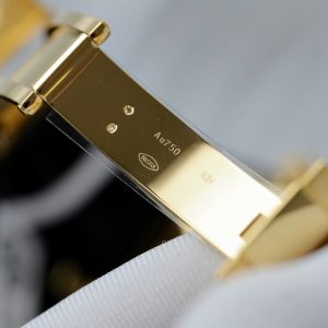 Đồng Hồ Rolex Daytona Chế Tác Bọc Vàng 18K Bộ Chuyển Động Calibre 4131 40mm (2)