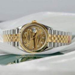 Đồng Hồ Rolex DateJust 126233 Replica 11 Mặt Lá Cây Nhiệt Đới Xưởng VS 36mm (2)