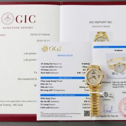 Đồng Hồ Rolex DateJust Mặt Số Butterfly Chế Tác Bọc Vàng 18K + Đính Kim Cương Moissanite 31mm (2)