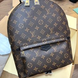 Balo Gucci Siêu Cấp Hoạ Tiết Monogram Màu Nâu 30cm (2)