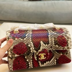 Túi Xách Nữ Chanel Classic Mãng Xà Siêu Cấp Khoá Vàng 25cm (2)