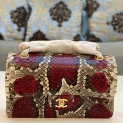 Túi Xách Nữ Chanel Classic Mãng Xà Siêu Cấp Khoá Vàng 25cm (2)