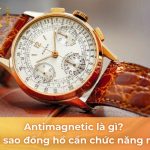 antimagnetic là gì