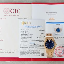 Đồng Hồ Audemars Piguet Rep Cao Cấp 15510R Royal Oak 50th Anniversary Mặt Xanh Blue Bọc Vàng Thật 41mm (2)