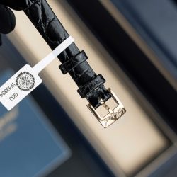 Đồng Hồ Chopard Happy 203857 Replica Cao Cấp Đính Full Kim Cương Moissanite + Bọc Vàng Hồng 36mm (2)