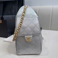 Túi Xách Nữ Chanel Jennie Màu Bạc Dáng Hobo Siêu Cấp 26cm (2)