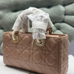 Túi Xách Nữ Dior Lady D-Joy Siêu Cấp Màu Hồng Nhạt Khóa Vàng 22cm (2)