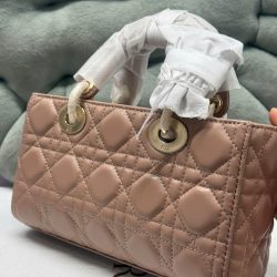 Túi Xách Nữ Dior Lady D-Joy Siêu Cấp Màu Hồng Nhạt Khóa Vàng 22cm (2)