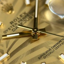 Đồng Hồ Rolex DateJust 126233 Rep 11 Mặt Lá Cây Nhiệt Đới Cọc Số Dạ Quang Xưởng VS 36mm (2)