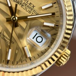 Đồng Hồ Rolex DateJust 126233 Rep 11 Mặt Lá Cây Nhiệt Đới Cọc Số Dạ Quang Xưởng VS 36mm (2)