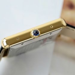 Đồng Hồ Cartier Tank Solo Replica 11 Vỏ Mạ Vàng Mặt Trắng Nhà Máy AF 41mm (2)